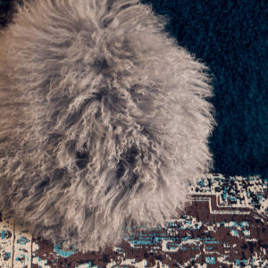 Bosie Real Mongolian Fur Grey Round Cushion