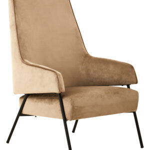 Henia Mink Velvet Chair