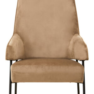 Henia Mink Velvet Chair