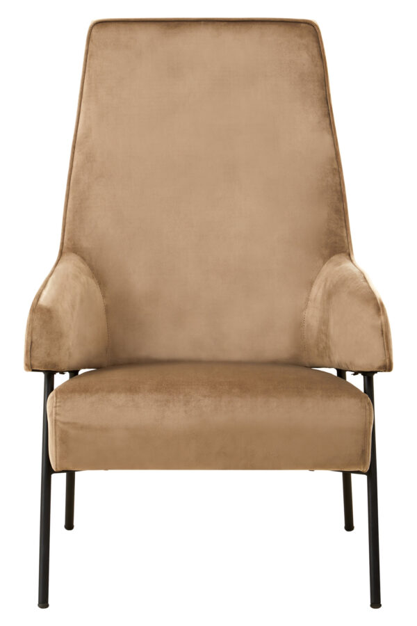 Henia Mink Velvet Chair
