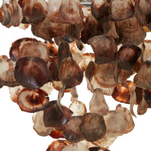 Palu Natural Shell Abstract Pendant Shade