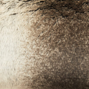 Bosie Lamina Mocha Ombre Rectangular Fur Cushion