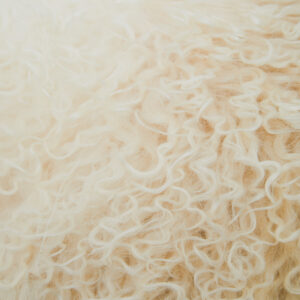 Bosie Real Mongolian Fur Natural Ombre Rectangular Cushion