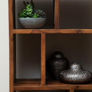 Surati Sheesham Wood Shelf Unit