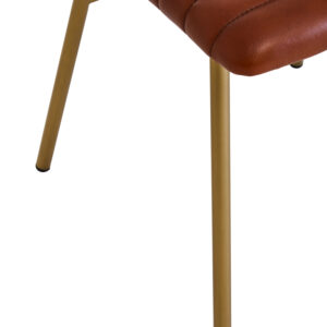 Buffalo Tan Leather Dining Chair With Gold Finish Frame