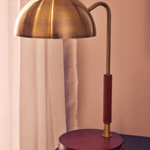 Sydnee Antique Brass Finish Task Lamp with Wood Base