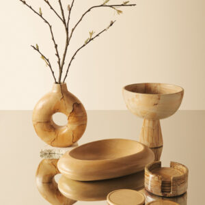 Tiga Teakwood Marble Set Of Five Round Coasters with Holder