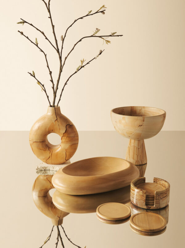 Tiga Teakwood Marble Set Of Five Round Coasters with Holder